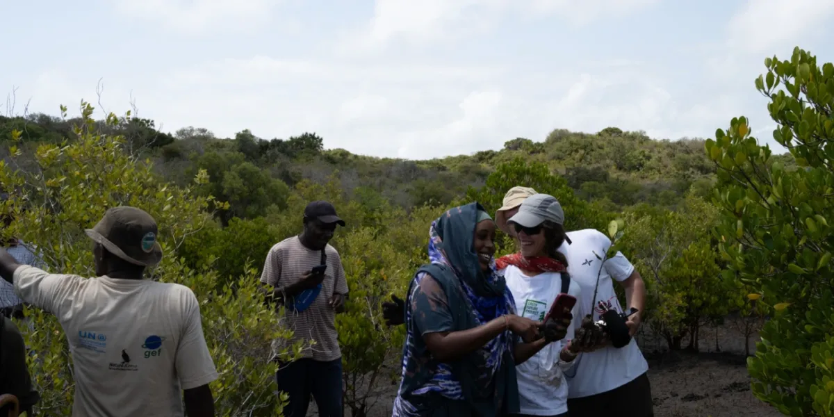 Riforestazione Mangrovie Kenya Tana River 5 3x