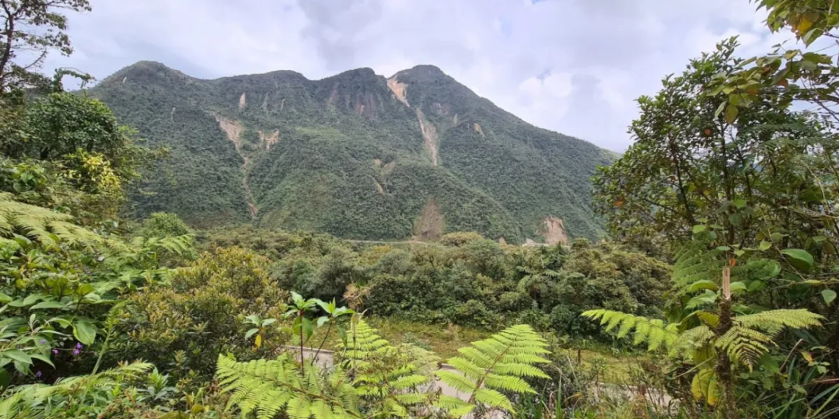 Tutela Ambientale Ecuador Riserva Tapichalaca 2 3x