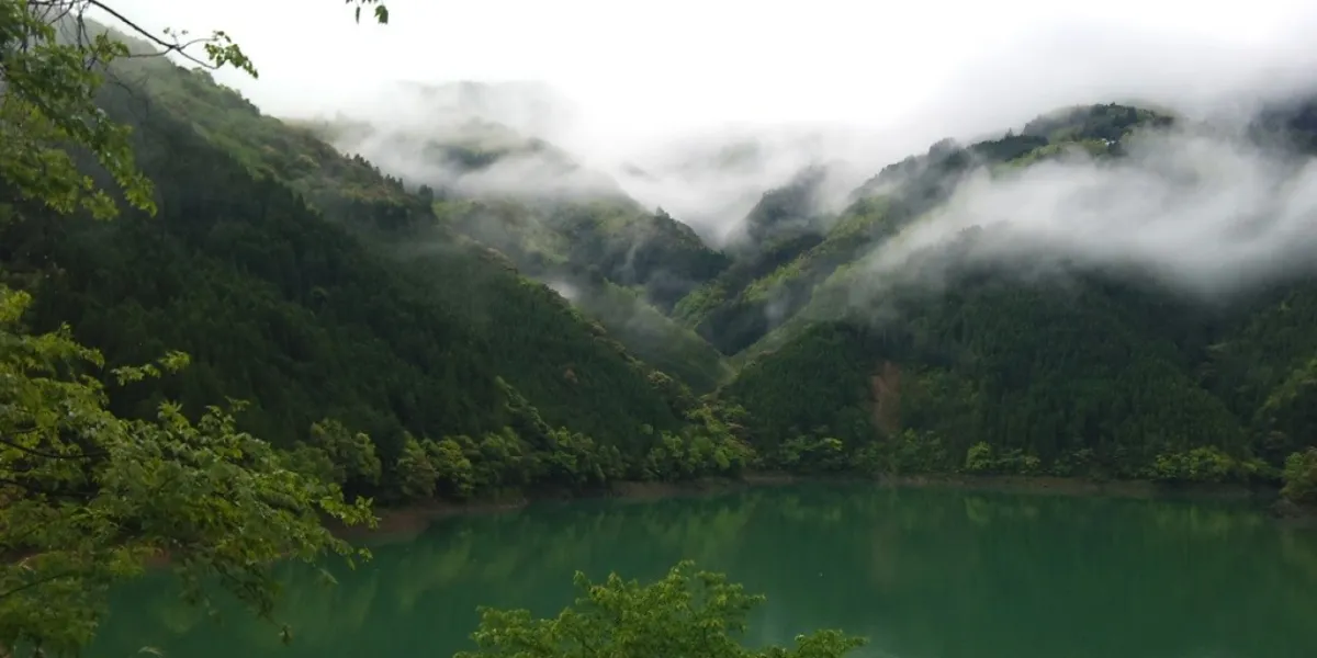 Tutela Ambientale Jcredit Giappone Morotsuka 1 3x