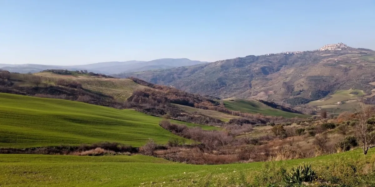 Riforestazione Italia Alberi Frutto La Fiorita 1 3x