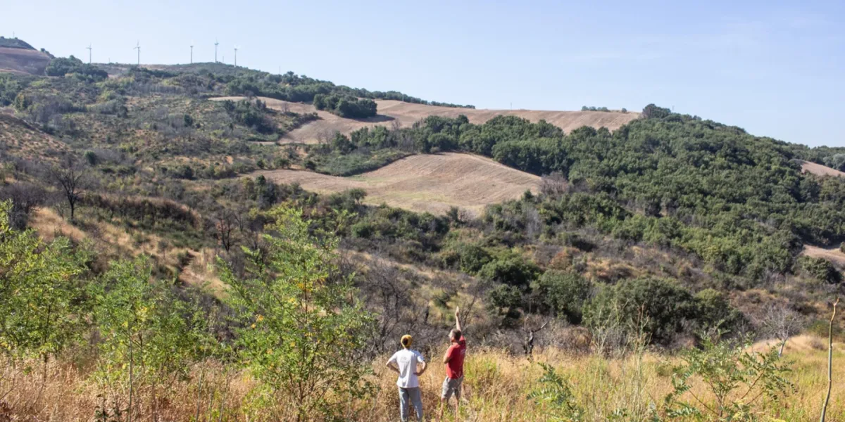 Riforestazione Italia Alberi Frutto La Fiorita 3 3x