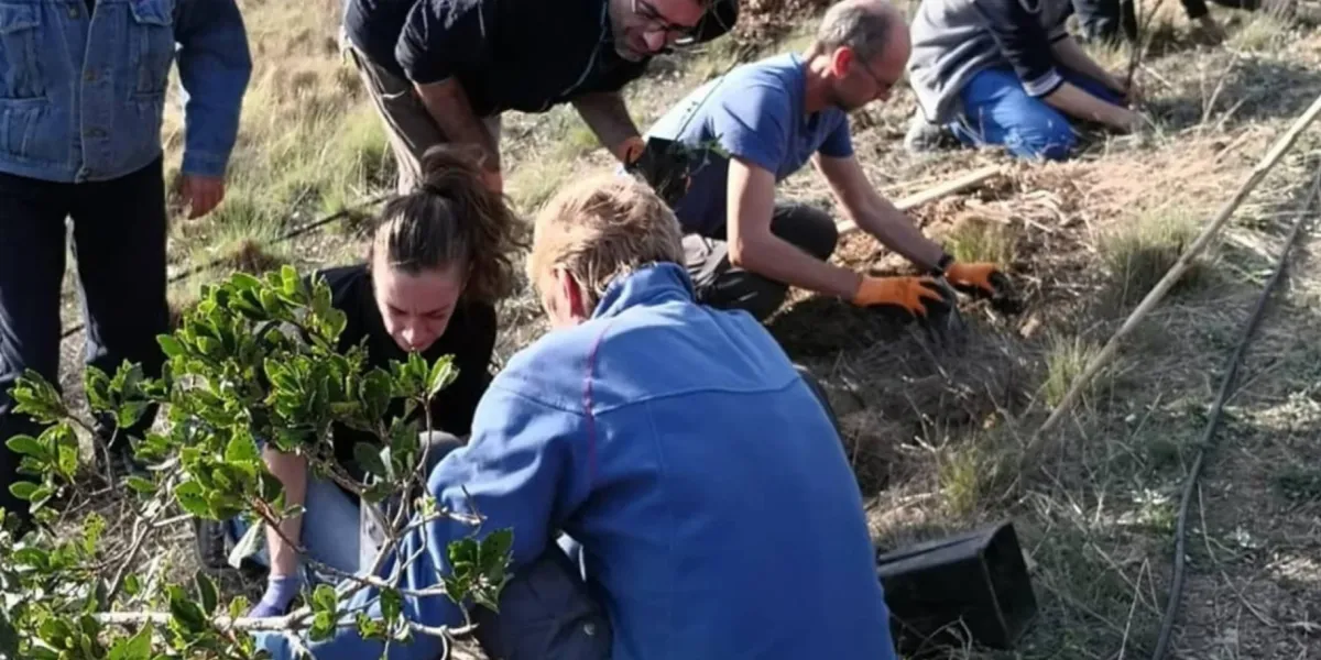 Riforestazione Italia Alberi Frutto La Fiorita 4 3x