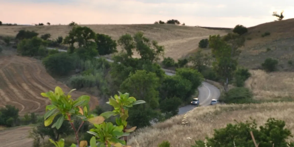 Riforestazione Italia Alberi Frutto La Fiorita 5 3x