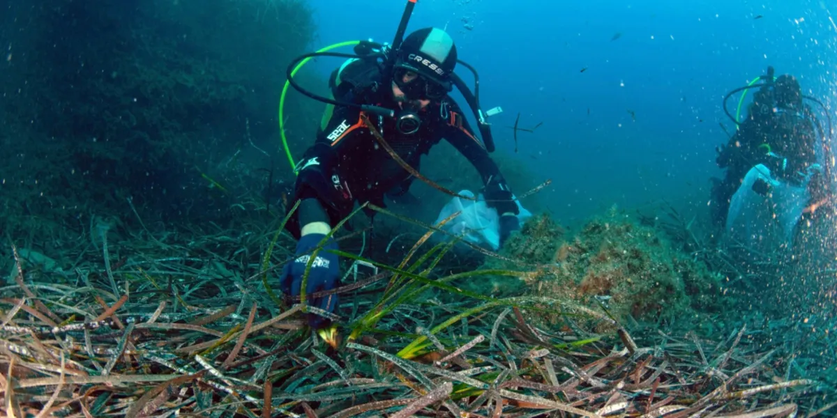 Blue Economy Posidonia Oceanica Italia Gaiola 2 3x