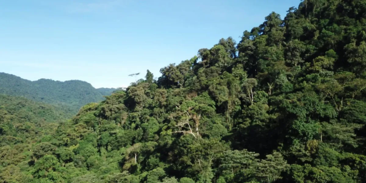 Tutela Ambientale Ecuador Narupa 1 3x
