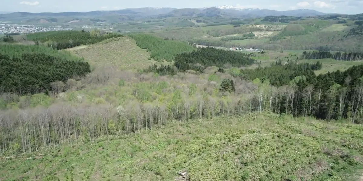 Tutela Ambientale Jcredit Giappone Hokkaido 3 3x