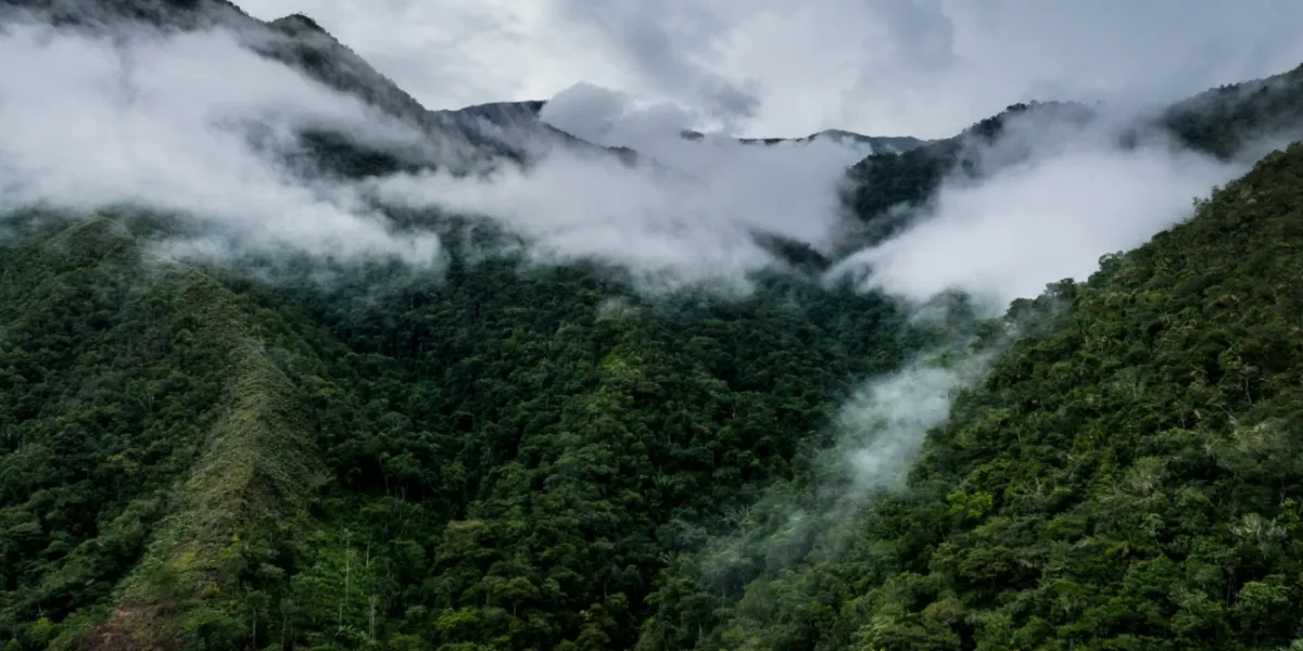 Tutela Ambientale Ecuador Riserva Copalinga 1 3x