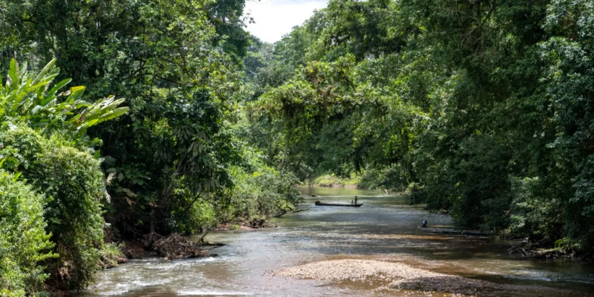 Tutela Ambientale Ecuador Riserva Canande 1 3x