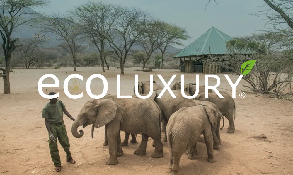 Ranger con un branco di elefanti in un progetto ambientale EcoLuxury