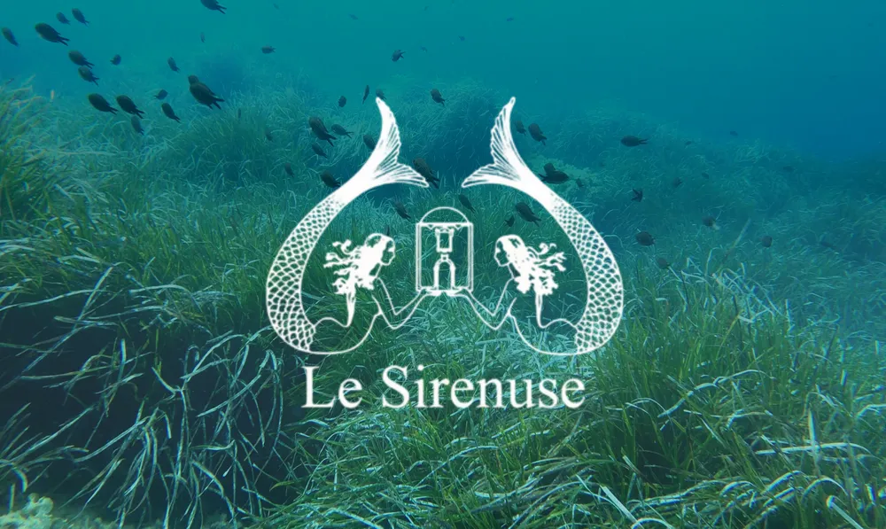 Prateria di Posidonia oceanica con il logo Le Sirenuse