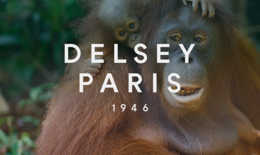 Orango nella foresta con il logo DELSEY Paris