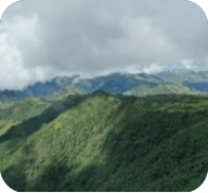 管理された森林に覆われた山々