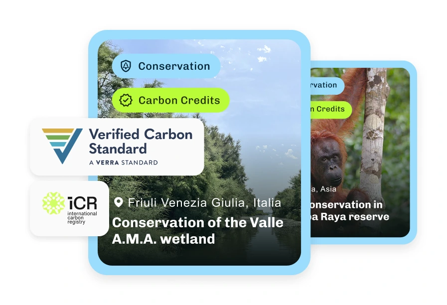 Verified Carbon StandardとICRの認証クレジットを掲載したプロジェクトページ(Valle A.M.A.湿地の保全を含む)