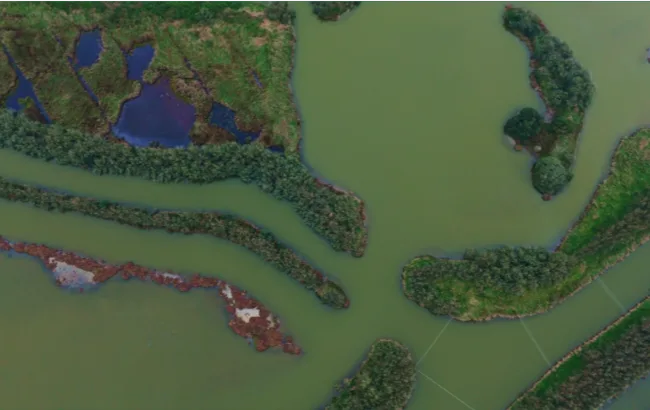 湿地とラグーンの水路の空撮