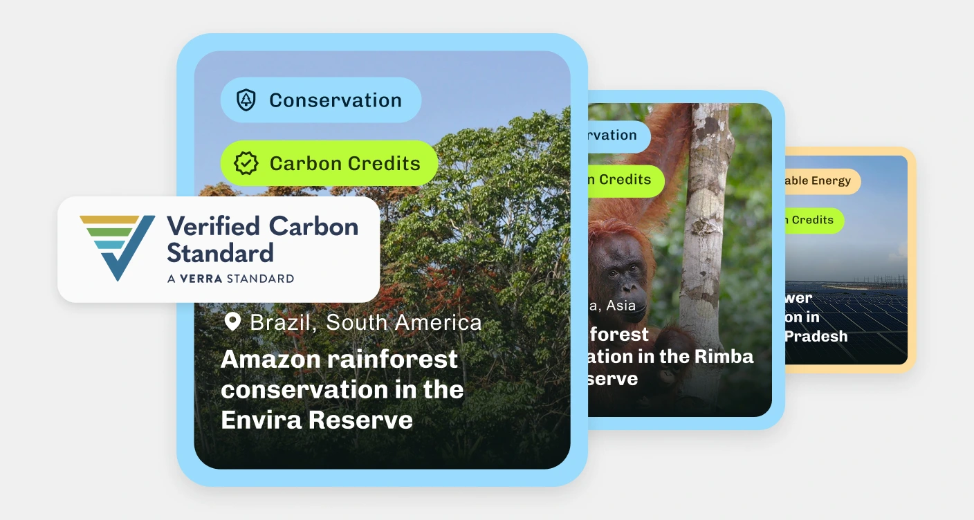 Crediti Di Carbonio Eng