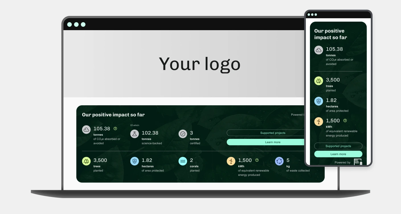 Decarbonizzazione Widget Eng