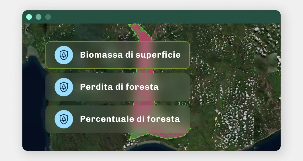 Neutralita Carbonica