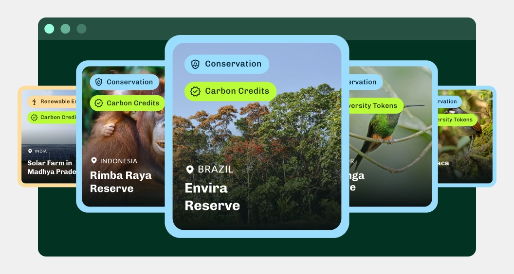 Sbti Carbon Credits Eng