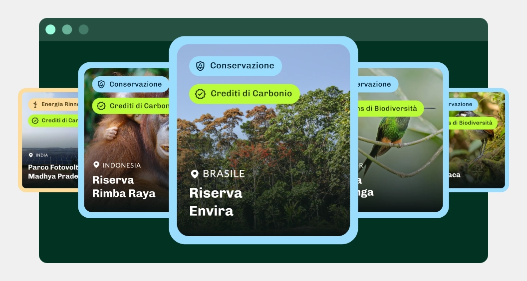 Sbti Carbon Credits