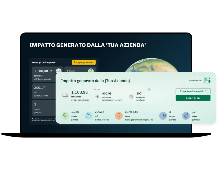 Climate Impact Widget