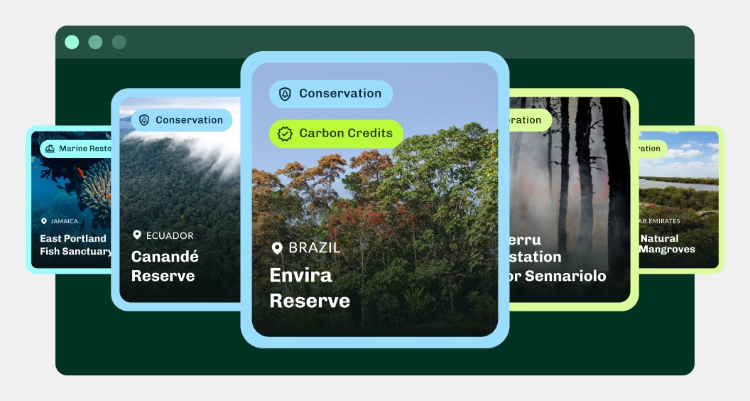 Servizi Ecologici Eng