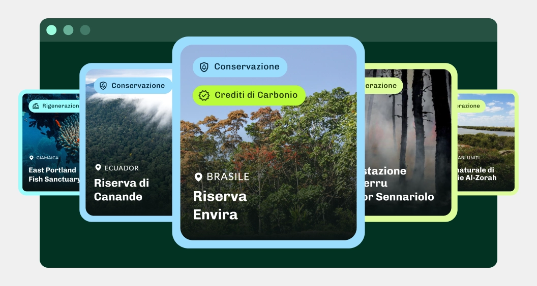Servizi Ecologici