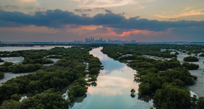 Servizi Esg Abu Dhabi