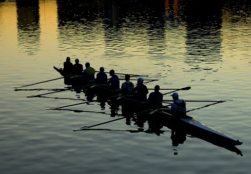 Rowing crew rowing in unison at sunset